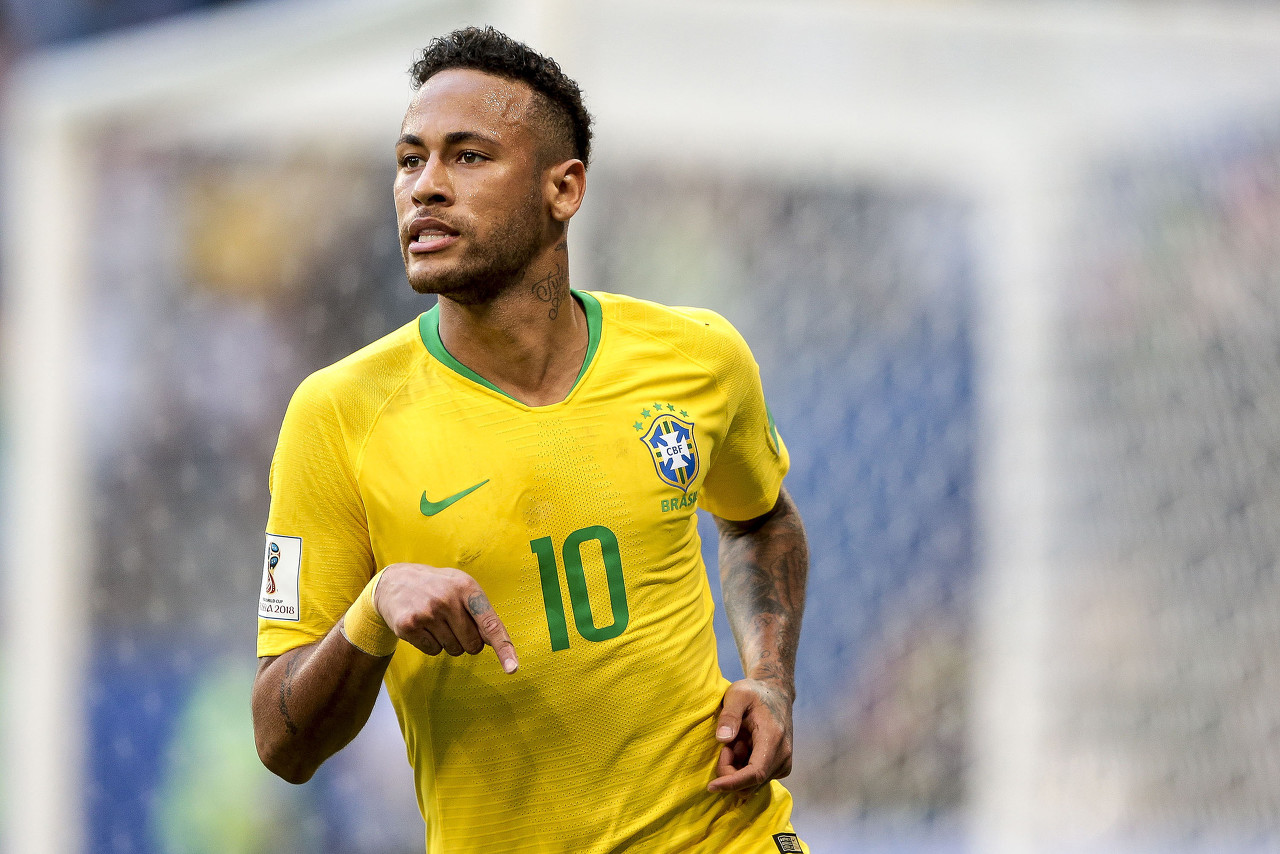 不仅能够提 不仅能够提