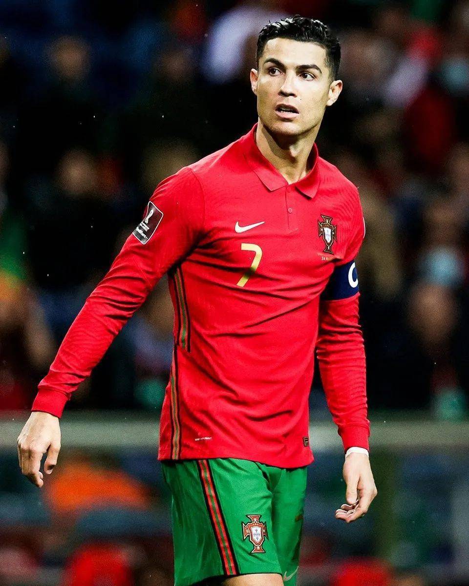 文字记录体 文字记录体