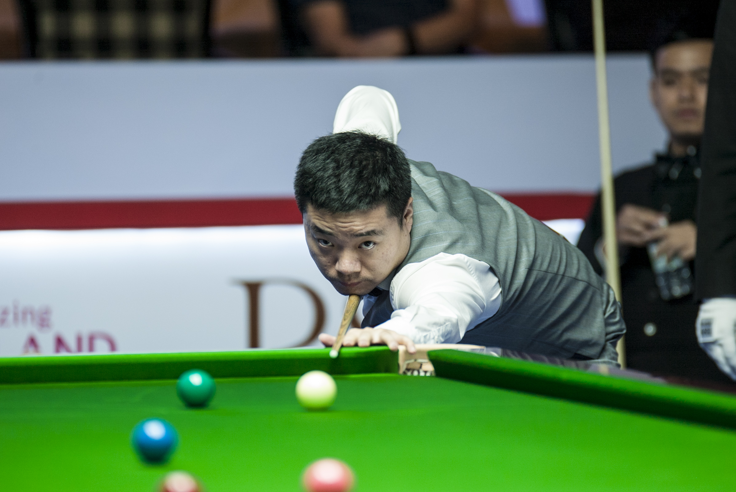 显示了他们 显示了他们