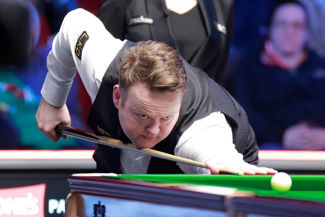 的专注和毅 的专注和毅